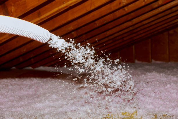 Insulation Replacement Services in Early, TX