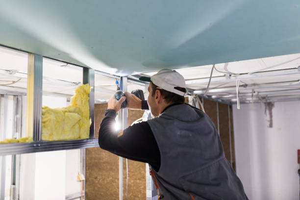 Best Cellulose Insulation  in Early, TX