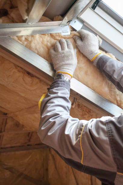 Best Insulation Replacement Services  in Early, TX