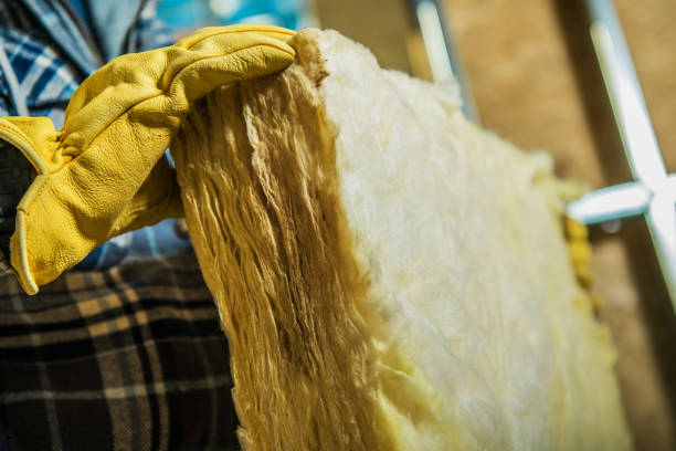 Best Home Insulation Services  in Early, TX