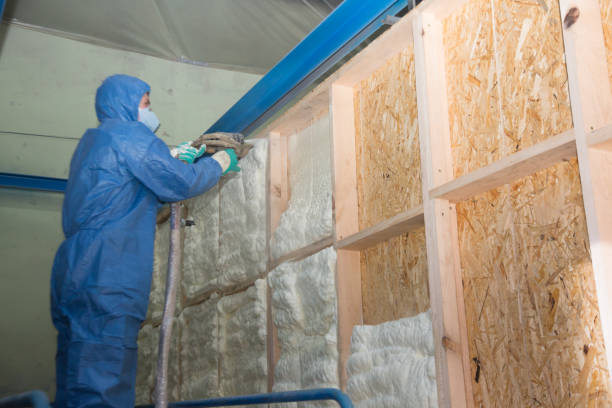 Best Insulation for New Construction  in Early, TX